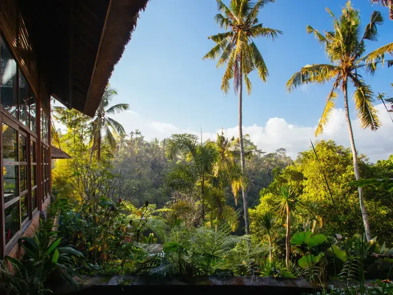 ¿Cuánto cuesta construir una villa en Bali? Una guía completa