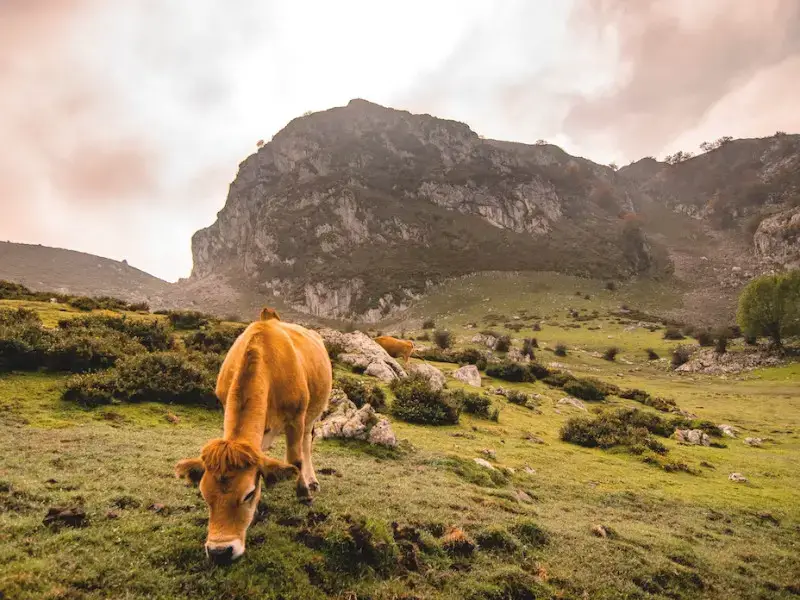 ¿Vale la pena visitar Oviedo? 7 razones para ver esta increíble ciudad