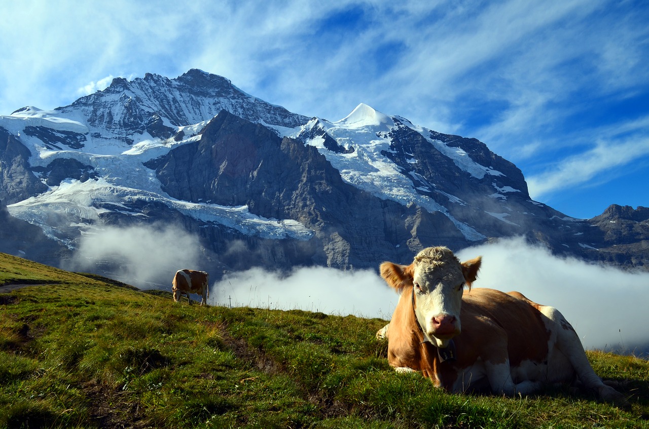 3 días en Suiza – ¡Planifique su itinerario por Suiza!