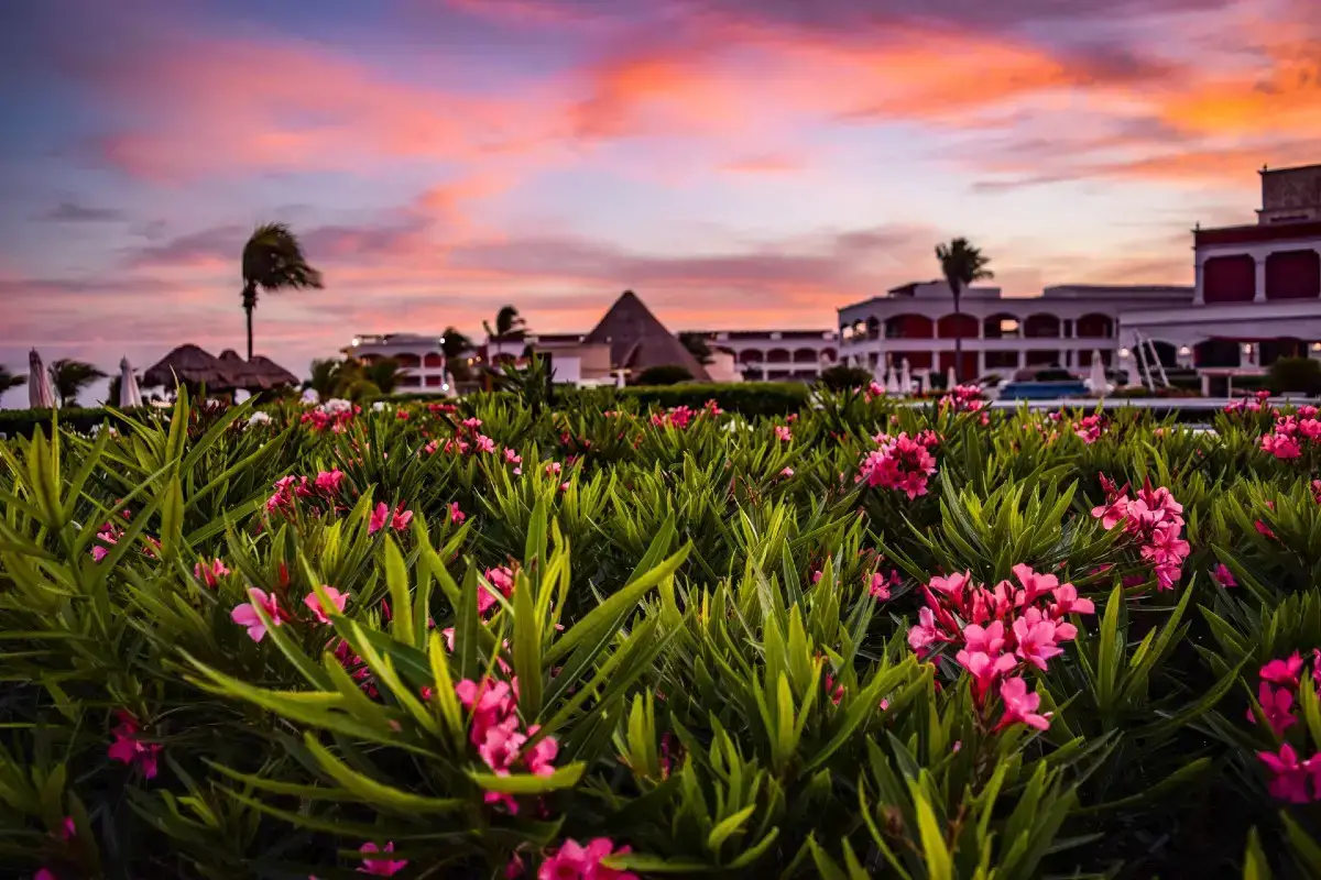 Mejor y peor momento para ir a la Riviera Maya: ¡Resumen de México!