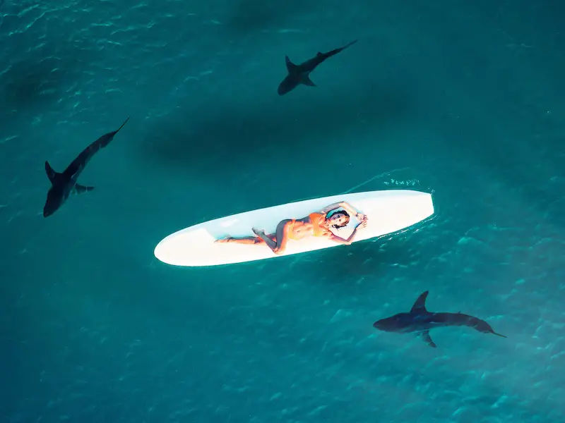 ¿Hay tiburones en el mar Egeo? Seguridad de viaje para Grecia