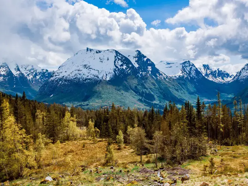 ¿Noruega o Finlandia? Comparando dos hermosos países nórdicos ¿Noruega o Finlandia? Comparando dos hermosos países nórdicos