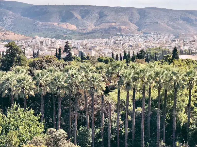 ¿Vale la pena visitar Atenas? 7 razones por las que debes visitar