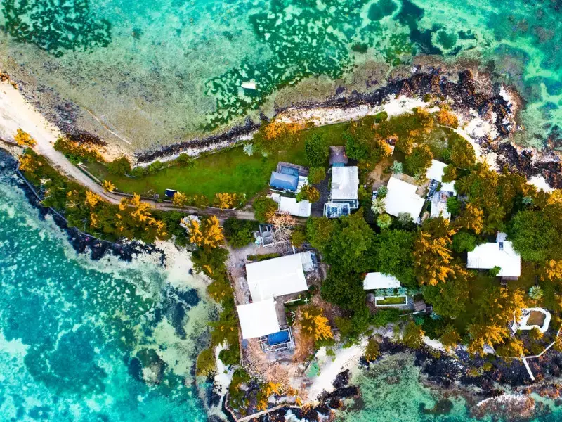 ¿Dónde ver tortugas en Mauricio? 5 lugares para encuentros