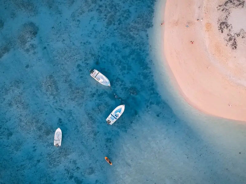 ¿Dónde ver tortugas en Mauricio? 5 lugares para encuentros