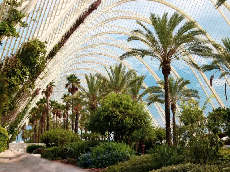 ¿Vale la pena visitar Valencia? 7 razones por las que pensamos que lo es