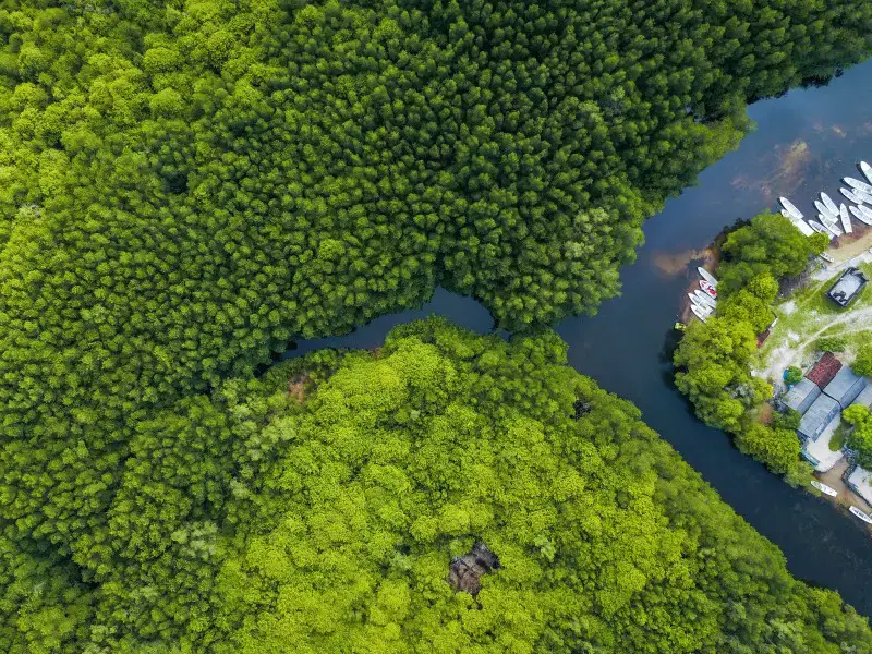 7 razones únicas por las que vale la pena visitar Nusa Lembongan