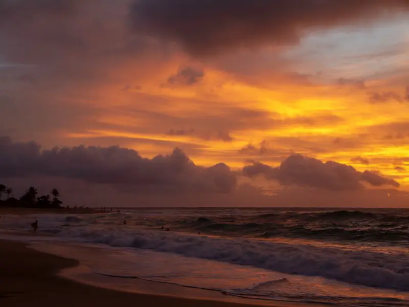 9 cosas que se deben evitar en Hawái: errores que comete todo turista