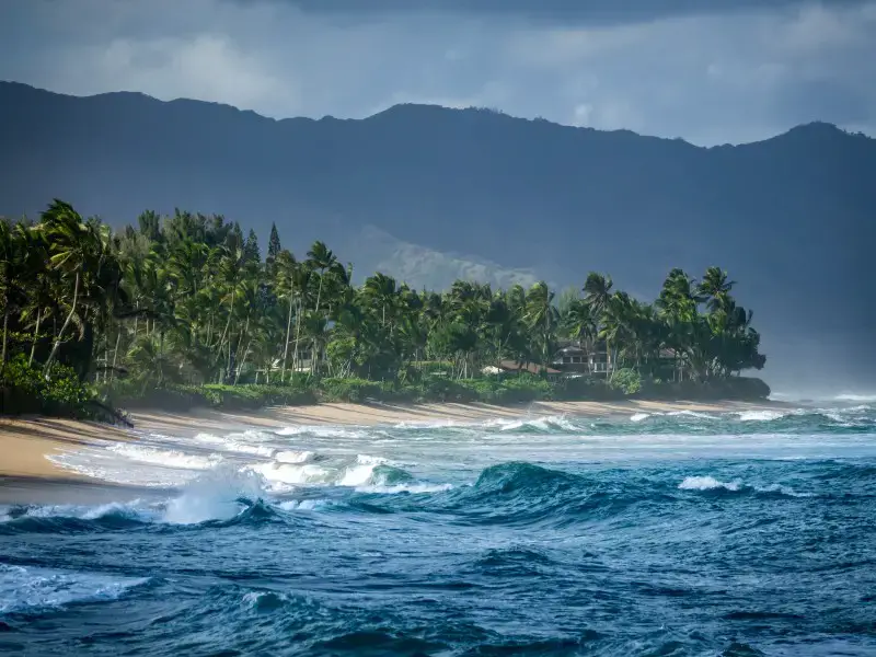 9 cosas que se deben evitar en Hawái: errores que comete todo turista