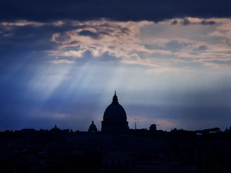 Dónde ver lobos en Italia: la guía definitiva Dónde ver lobos en Italia: la guía definitiva
