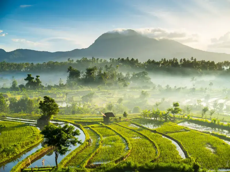 Los 11 destinos más seguros de Asia para viajar este año