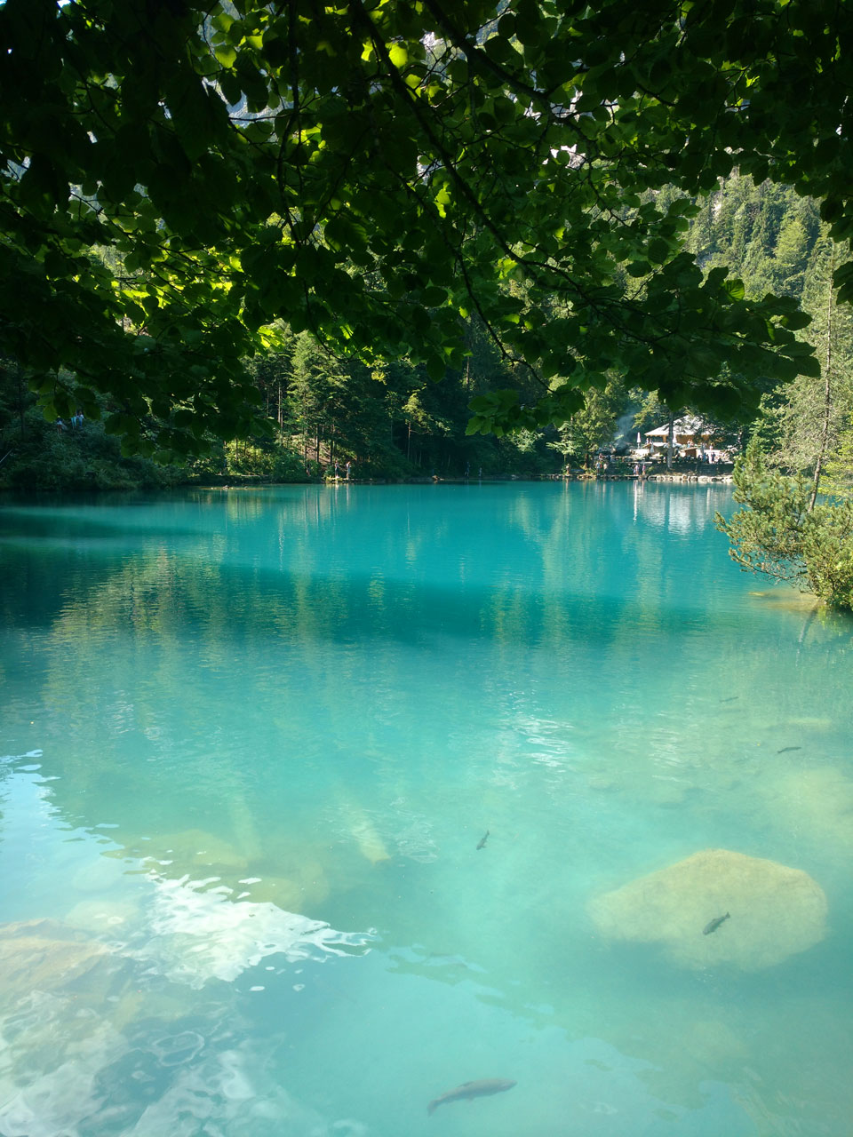 Blausee – Descubre el Lago Azul en Suiza