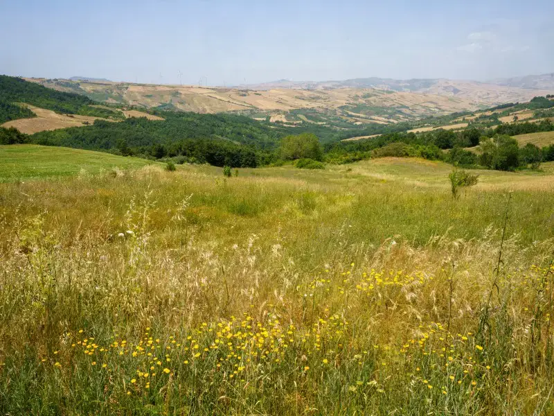 Los 7 lugares más baratos para vivir en Italia por gangas en el arranque