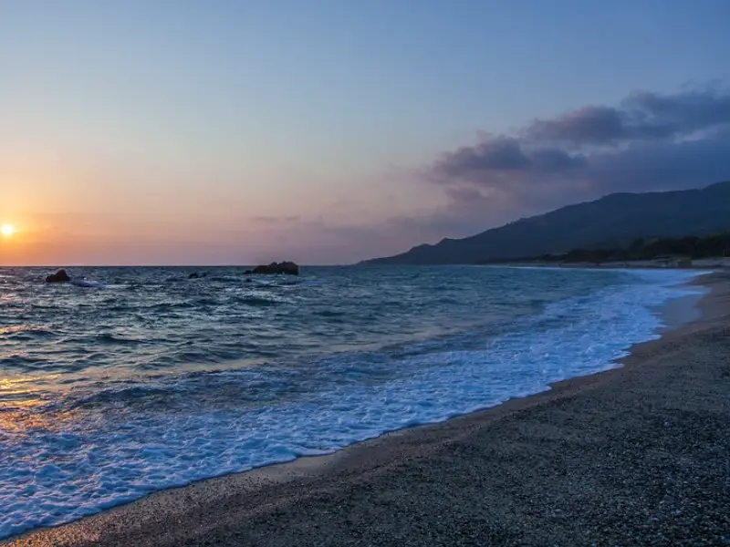 ¿Dónde ver delfines en Grecia? 5 lugares para explorar