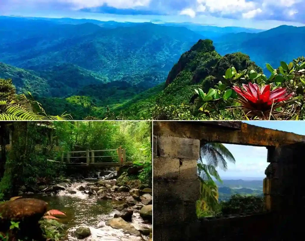 ¿Cancún vs. Puerto Rico de vacaciones? ¿Cuál es MEJOR visitar?