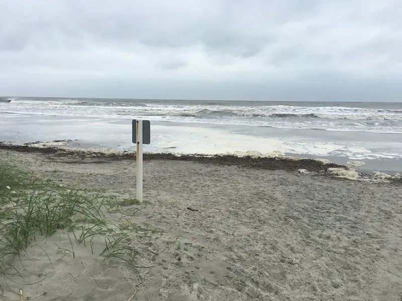 Cocoa Beach vs.Daytona Beach en [2023]: ¡Una comparación honesta para ayudarte a elegir!