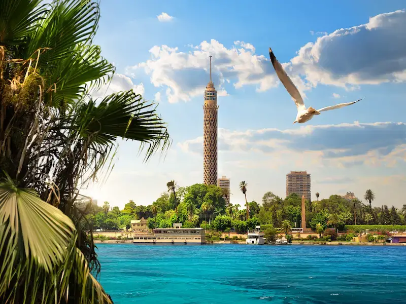 Los mejores estudios de tatuajes en El Cairo: 7 salones para visitar