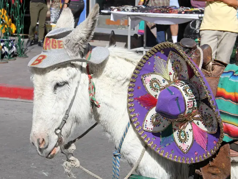 ¿Es Nogales México seguro para los turistas? Guía de seguridad para viajes