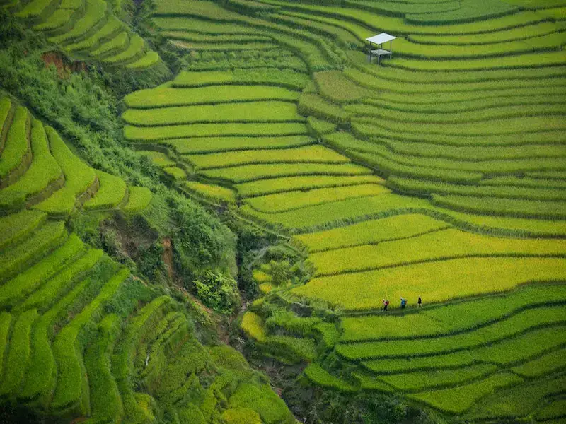 57 palabras y frases (Vietnam)