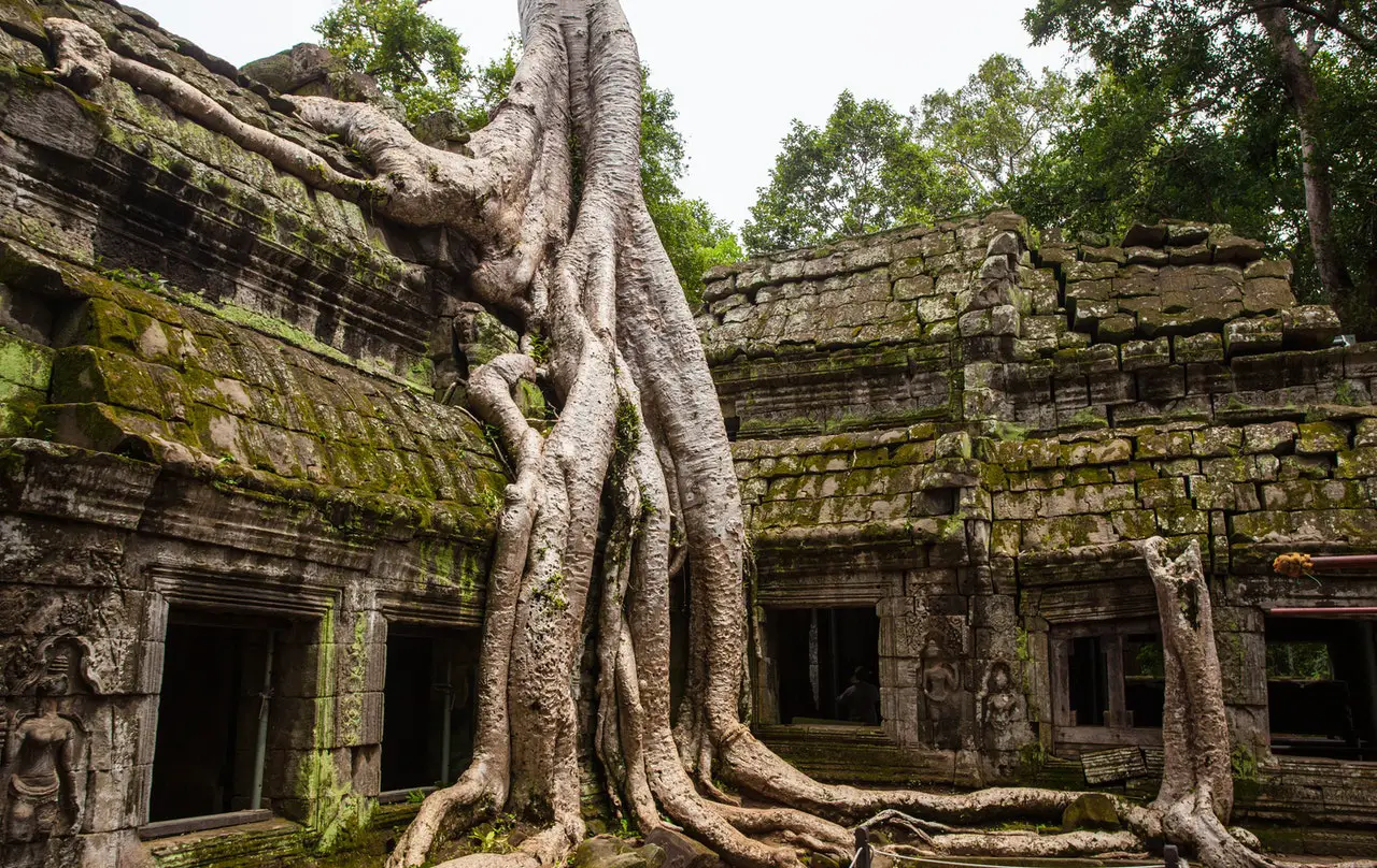 ¿Vale la pena visitar Siem Reap? ¿Algo más que Angkor Wat?