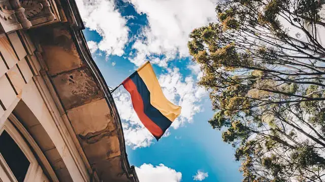 Animales Peligrosos en Colombia: 7 Criaturas Más Mortíferas