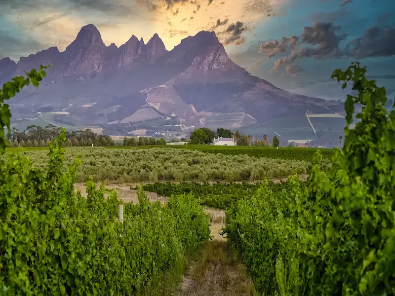 Los 7 lugares más peligrosos de Ciudad del Cabo