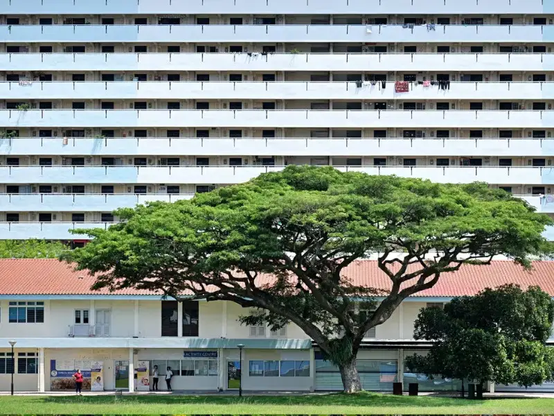 Los 9 lugares más baratos para vivir en Singapur: zonas de bajo presupuesto