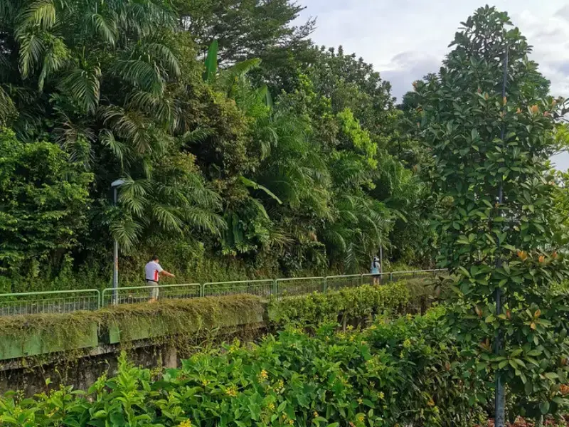 Los 9 lugares más baratos para vivir en Singapur: zonas de bajo presupuesto