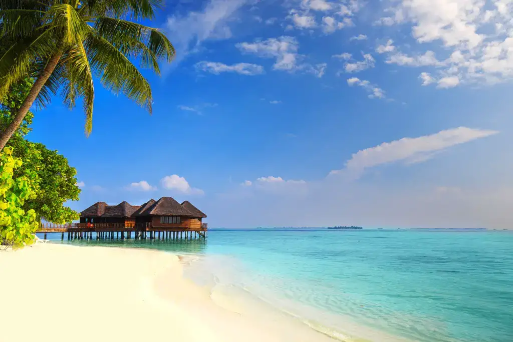 ¿Viaja a Bora Bora? ¡Aquí está la guía de cultura y costumbres que necesita! ¿Viaja a Bora Bora? ¡Aquí está la guía de cultura y costumbres que necesita!