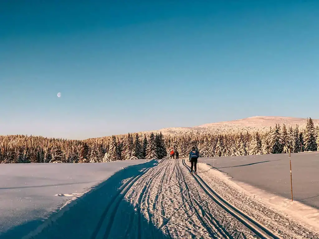 Oslo con niños: su guía completa de escapadas urbanas de 2023
