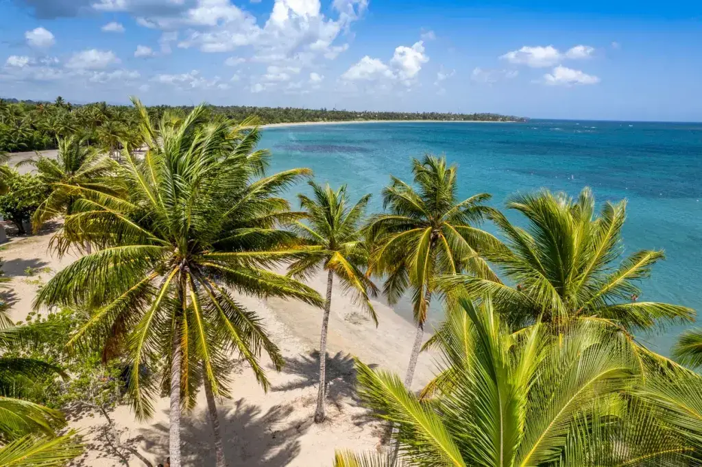 Las islas del Caribe con el agua más clara y la arena más blanca Las islas del Caribe con el agua más clara y la arena más blanca