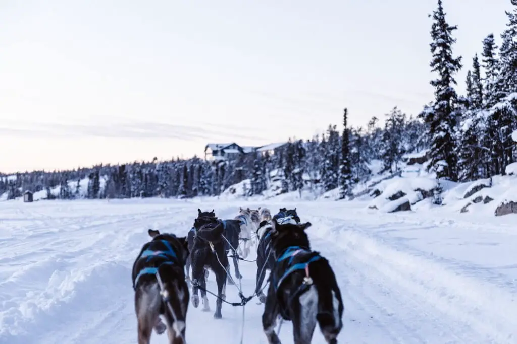 7 cosas divertidas para hacer en Karasjok, Noruega