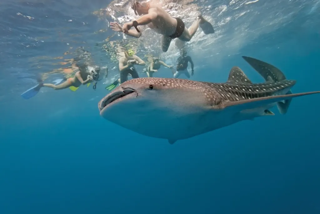 ¡Las 12 mejores playas de Belice que los lugareños quieren para ellos solos!