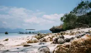 Los mejores lugares para bucear en Bali: ¡Islas Gili y más!