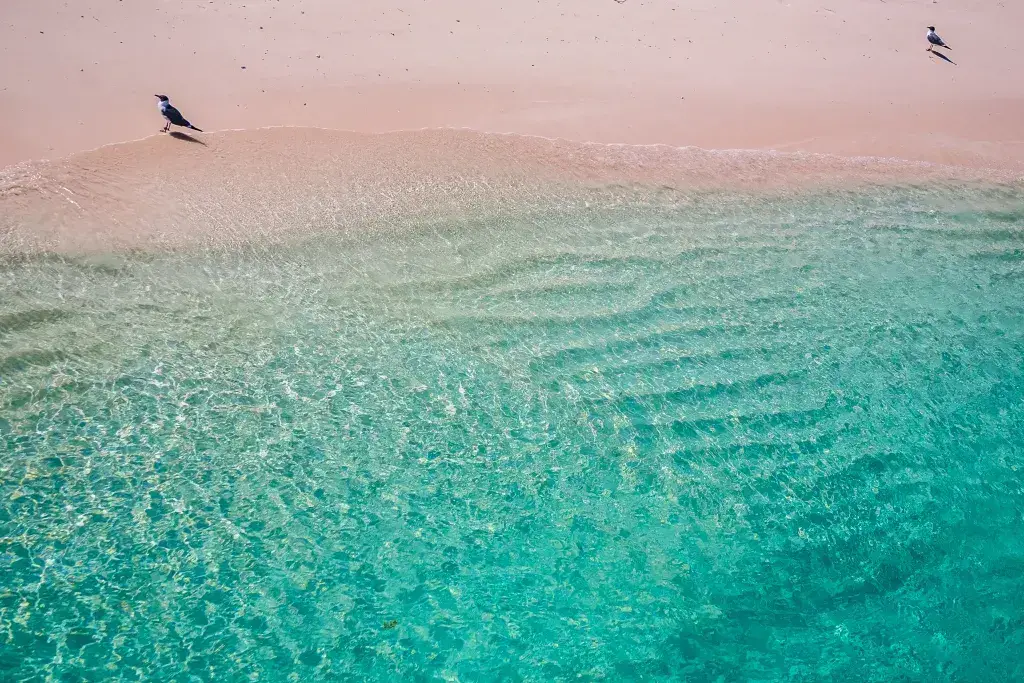 Las 6 mejores playas de Bonaire Las 6 mejores playas de Bonaire