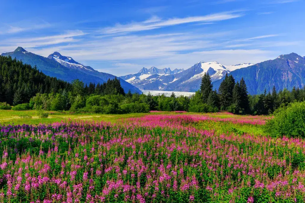 Alaska tiene serpientes, ¡pero aquí le explicamos por qué no debería preocuparse!