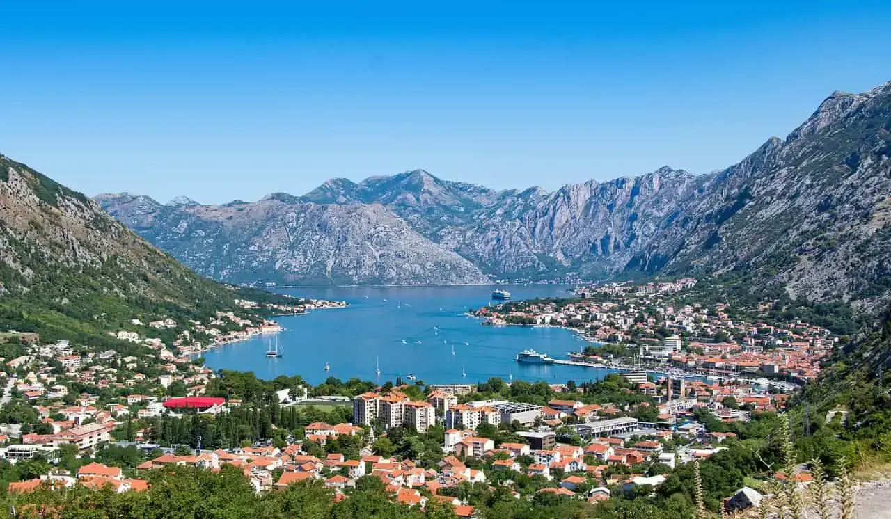 Animales peligrosos en Montenegro: mire a su alrededor y explore