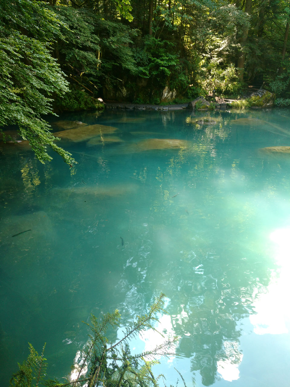 Blausee – Descubre el Lago Azul en Suiza