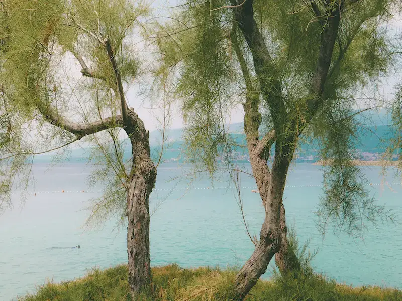Las 7 mejores islas para visitar desde Zadar: guía de isla en isla
