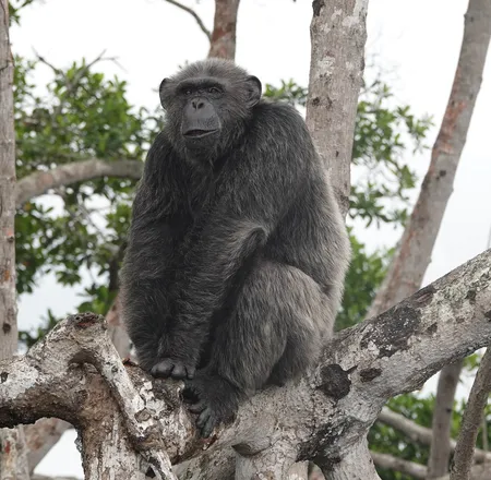 Los 12 mejores zoológicos de Europa para agregar a su lista de deseos (2023)