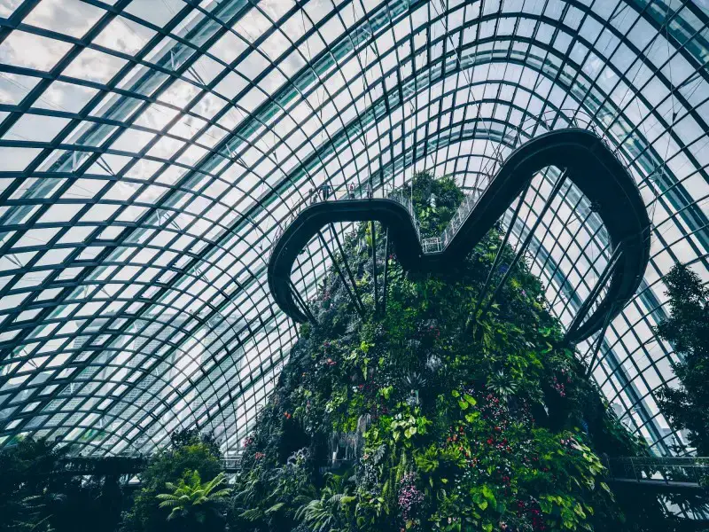 Los 9 lugares más baratos para vivir en Singapur: zonas de bajo presupuesto