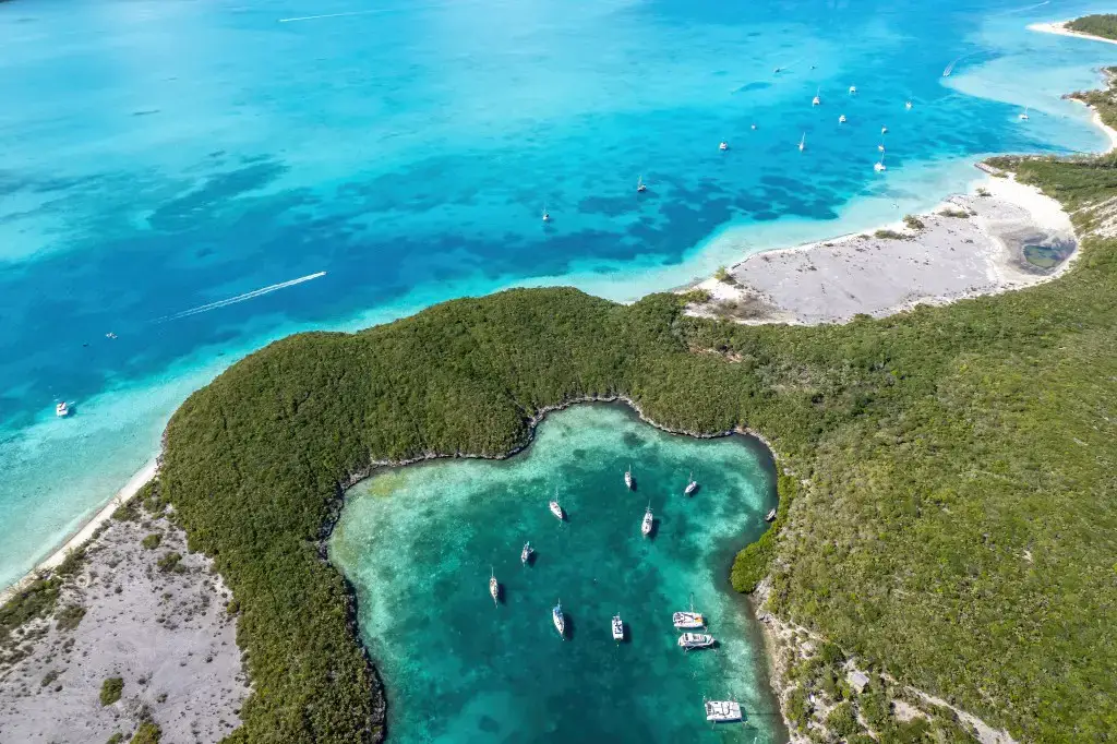 Serpientes en las Bahamas y por qué no deberías preocuparte Serpientes en las Bahamas y por qué no deberías preocuparte