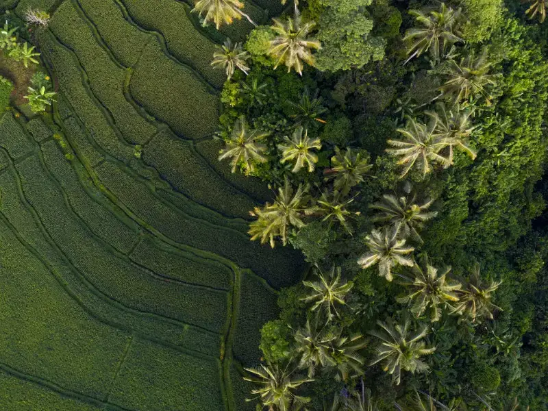 Una semana en Bali: el itinerario perfecto de 7 días