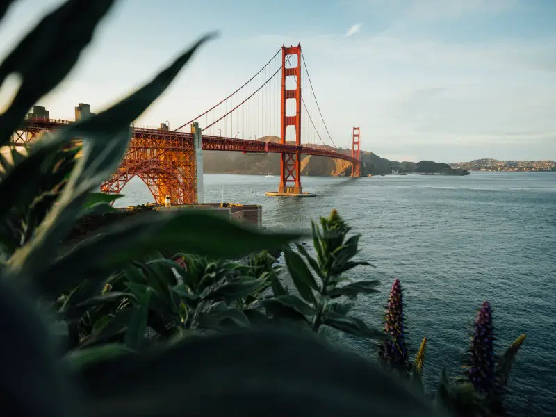 Viaje por carretera de San Francisco a Portland: guía de itinerario de 4 días