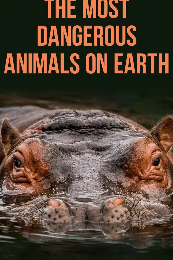 35 animales más peligrosos de la Tierra |