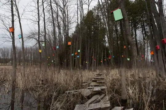 6 lugares para experimentar animales inusuales en Vermont - Atlas Obscura