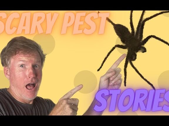 Historias de plagas aterradoras - YouTube