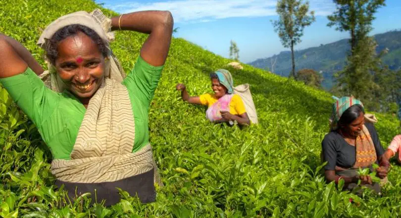 ¿Es seguro visitar Sri Lanka?