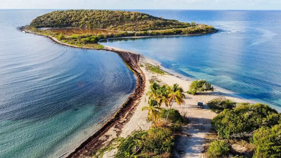 ¿Jamaica o Puerto Rico?