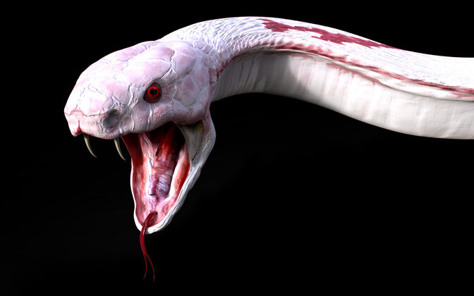 Las 10 mejores serpientes venenosas de los Estados Unidos - Revista Reptiles